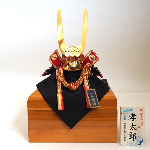 y݌ɌzyAEgbgz  ܌l` RpNg ߋ [߂̐ߋ q̓