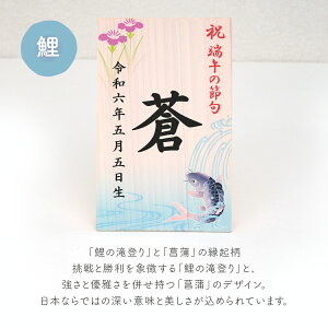 sYqmL̂O؎DtO ؎D j̎q ܌l` RpNg O؎D D ߋl`ɓʊvXIfUCIׂ邨؎DI [߂̐ߋ 