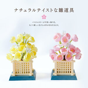  ԁu 2_O[isNEFjv Pi l` l ̐ߋ   a  fBXvC ~j`A