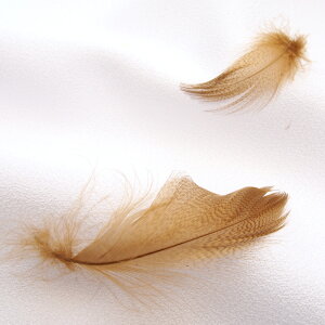 OC}[h3gmuEntFU[p[c H H ޗ f | ANZT[ ԍ t[AWg nEB  _X ߑ RXv