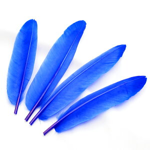 K`ẺH O[XENC2΁i4{jmu[ntFU[p[c H H ޗ f | ANZT[ ԍ t[AWg nEB  _X ߑ RXv