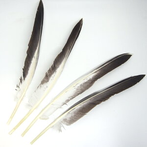 K`E̕؂H O[XENC2΁i4{jmNEOCntFU[p[c H H ޗ f | ANZT[ ԍ t[AWg nEB  _X ߑ RX