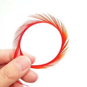 rbg6{mIWntFU[p[c H H ޗ f | ANZT[ ԍ t[AWg nEB  _X ߑ RXv