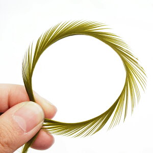 rbg6{mI[untFU[p[c H H ޗ f | ANZT[ ԍ t[AWg nEB  _X ߑ RXv