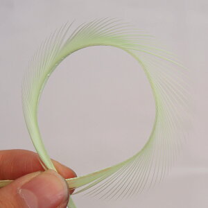 rbg6{mntFU[p[c H H ޗ f | ANZT[ ԍ t[AWg nEB  _X ߑ RXv