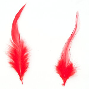 H tFU[ XyCRbN2gmbhntFU[p[c H H ޗ f | ANZT[ ԍ t[AWg nEB  _X ߑ RXv nhCh NX