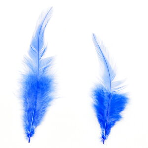 H tFU[ XyCRbN2gmu[ntFU[p[c H H ޗ f | ANZT[ ԍ t[AWg nEB  _X ߑ RXv nhCh NX
