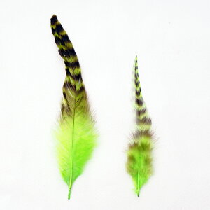 H tFU[ XyCRbNEOY[2gm`[g[XntFU[p[c H H ޗ f | ANZT[ ԍ t[AWg nEB  _X ߑ RX