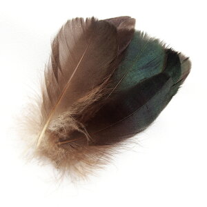 iS5{STCYmi`ubNntFU[p[c H H ޗ f | ANZT[ ԍ t[AWg nEB  _X ߑ RXv