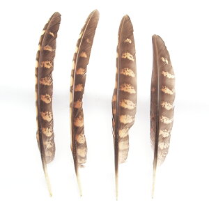 RbN؎H4{tFU[p[c H H ޗ f | ANZT[ ԍ t[AWg nEB  _X ߑ RXv