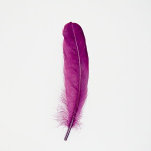 O[XEz5{mO[vntFU[p[c H H ޗ f | ANZT[ ԍ t[AWg nEB  _X ߑ RXv