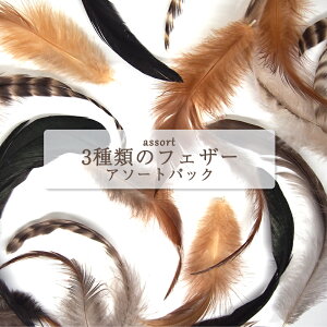 フラワーアレンジメント 材料 その他の手芸用品 クラフトの人気商品 通販 価格比較 価格 Com