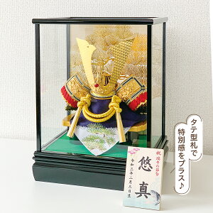 RpNgTCY ܌l` P[X RpNgP[X ȃRpNgP[X   _ Jug Ԃ O  D IS[t؎D l[v[