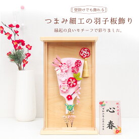 つまみ細工の羽子板飾り【2025年新作】コンパクトな壁掛け2WAY【送料無料】羽子板ケース飾り コンパクトアクリルケース 初正月飾り 初節句 ミニサイズ お名前木札 立て札 ロンパース