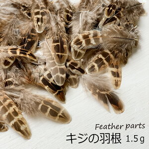 LW̉H(1.5g)ޗ f | ANZT[ ԍ nEB NX}X _X ߑ RXv