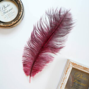 I[Xgb`Ei`OC1{msNntFU[p[c H H ޗ f | ANZT[ ԍ t[AWg nEB  _X ߑ RXv