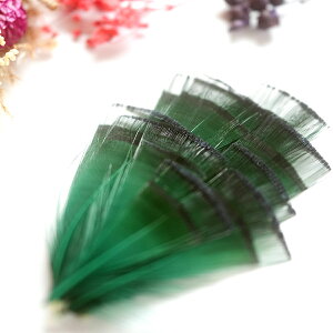 PCEtFU[10{mO[ntFU[p[c H H ޗ f | ANZT[ ԍ t[AWg nEB  _X ߑ RXv