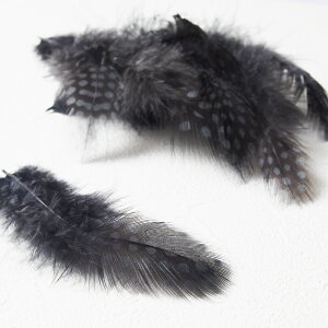 H tFU[ zz 20{tFU[p[c H H ޗ f | ANZT[ ԍ t[AWg nEB h[Lb`[  _X ߑ RXv