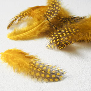 H tFU[ zz 20{tFU[p[c H H ޗ f | ANZT[ ԍ t[AWg nEB h[Lb`[  _X ߑ RXv