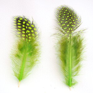 H tFU[ zz 20{tFU[p[c H H ޗ f | ANZT[ ԍ t[AWg nEB h[Lb`[  _X ߑ RXv