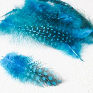 H tFU[ zz 20{tFU[p[c H H ޗ f | ANZT[ ԍ t[AWg nEB h[Lb`[  _X ߑ RXv