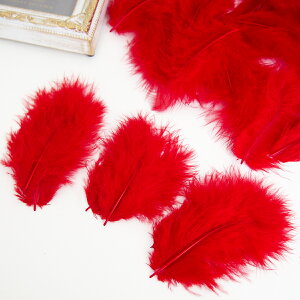 ̉H H VRtFU[ p[c }{[STCY(2g) mbhnԐF ꂢȓVRH ޗ f | ANZT[ [X ԍ NX}X nEB _X ߑ RXv { 