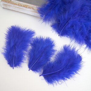 ̉H H VRtFU[ p[c }{[STCY(2g) mfB[vu[nF ꂢȓVRH ޗ f | ANZT[ [X ԍ NX}X nEB _X ߑ RXv