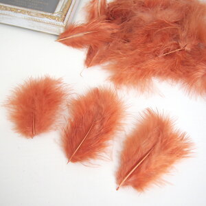 ̉H H VRtFU[ p[c }{[STCY(2g) mt@CA[uEnF ꂢȓVRH ޗ f | ANZT[ [X ԍ NX}X nEB _X ߑ R