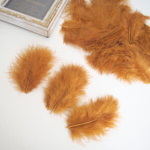 ̉H H VRtFU[ p[c }{[STCY(2g) m}nF ꂢȓVRH ޗ f | ANZT[ [X ԍ NX}X nEB _X ߑ RXv { 