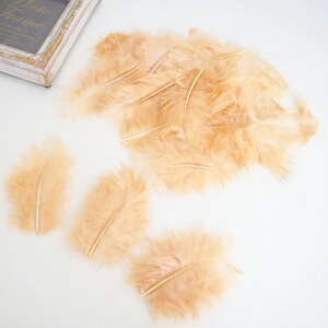 ̉H H VRtFU[ p[c }{[STCY(2g) mVinF ꂢȓVRH ޗ f | ANZT[ [X ԍ NX}X nEB _X ߑ RXv { 