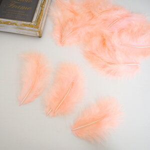 ̉H H VRtFU[ p[c }{[STCY(2g) mR[nꂢȓVRH ޗ f | ANZT[ [X ԍ NX}X nEB _X ߑ RXv { ޗ