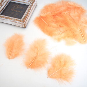 ̉H H VRtFU[ p[c }{[STCY(2g) ms[`nꂢȓVRH ޗ f | ANZT[ [X ԍ NX}X nEB _X ߑ RXv { ޗ