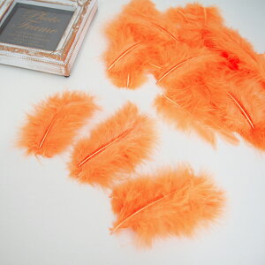 ̉H H VRtFU[ p[c }{[STCY(2g) muIWnVRH ꂢȓVRH ޗ f | ANZT[ [X ԍ NX}X nEB _X ߑ RXv