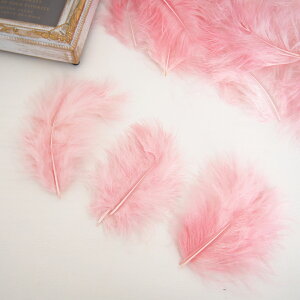 ̉H H VRtFU[ p[c }{[STCY(2g) mxr[sNnsN ꂢȓVRH ޗ f | ANZT[ [X ԍ NX}X nEB _X ߑ RXv