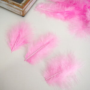 ̉H H VRtFU[ p[c }{[STCY(2g) mpXesNnsN ꂢȓVRH ޗ f | ANZT[ [X ԍ NX}X nEB _X ߑ RXv