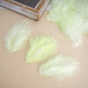 ̉H H VRtFU[ p[c }{[STCY(2g) my[CG[nF ꂢȓVRH ޗ f | ANZT[ [X ԍ NX}X nEB _X ߑ RXv