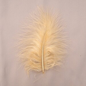 H tFU[ ޗ ӂӂ}{[(10{)Fn uE/t@CA[uE/}/WW[/Vi/AbVJ[L/}u[ ޗ f | ANZT[ ԍ _X ߑ RXv