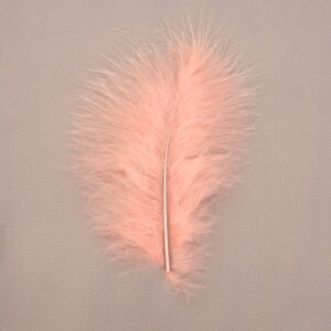 H tFU[ ޗ ӂӂ}{[(10{)IW/R[/s[`/uIW/}u[ ޗ f | ANZT[ ԍ _X ߑ RXv tC}eA NX}X nEB