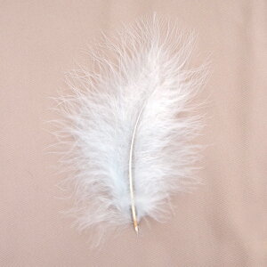 H tFU[ ޗ ӂӂ}{[(10{)Fn ^[RCY/ACXu[/Cgu[/XJCu[/eB[u[/}u[ ޗ f | ANZT[ ԍ _X ߑ RXv t