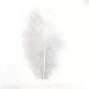 H tFU[ ޗ ӂӂ}{[(10{)zCg/ubN/O[/CgO[/}u[ ޗ f | ANZT[ ԍ _X ߑ RXv tC}eA NX}X nE