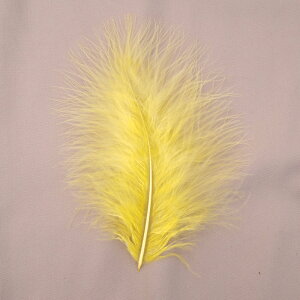 H tFU[ ޗ ӂӂ}{[(10{)CG[F/uCG[/CG[/y[CG[/pvL/}u[ ޗ f | ANZT[ ԍ _X ߑ RXv tC}