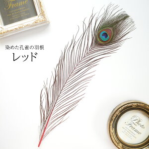 s[RbNEACLTCY4{mbhntFU[p[c H H ޗ f | ANZT[ ԍ t[AWg nEB  _X ߑ RXv