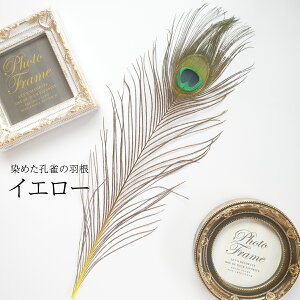 s[RbNEACLTCY4{mCG[ntFU[p[c H H ޗ f | ANZT[ ԍ t[AWg nEB  _X ߑ RXv