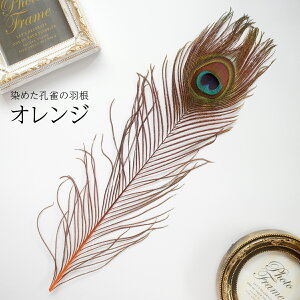 s[RbNEACLTCY4{mIWntFU[p[c H H ޗ f | ANZT[ ԍ t[AWg nEB  _X ߑ RXv