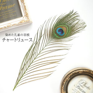 s[RbNEACLTCY4{m`[g[XntFU[p[c H H ޗ f | ANZT[ ԍ t[AWg nEB  _X ߑ RXv