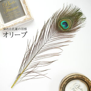 s[RbNEACLTCY4{mI[untFU[p[c H H ޗ f | ANZT[ ԍ t[AWg nEB  _X ߑ RXv