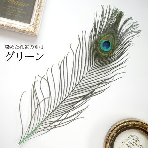 s[RbNEACLTCY4{mO[ntFU[p[c H H ޗ f | ANZT[ ԍ t[AWg nEB  _X ߑ RXv