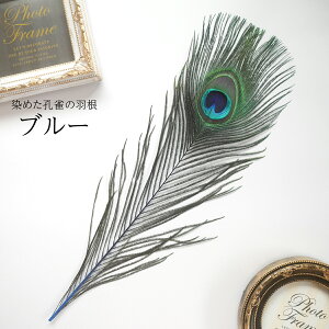 s[RbNEACLTCY4{mu[ntFU[p[c H H ޗ f | ANZT[ ԍ t[AWg nEB  _X ߑ RXv