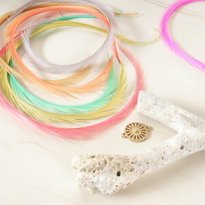 rbg6{ F t@V[J[tFU[p[c H H ޗ f | ANZT[ ԍ t[AWg nEB  _X ߑ RXv