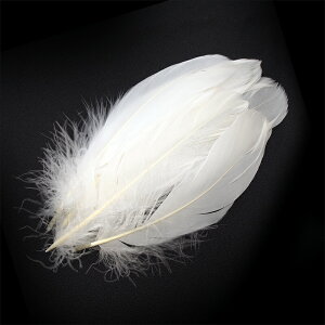 iS5{mzCgntFU[p[c H H ޗ f | ANZT[ ԍ t[AWg nEB  _X ߑ RXv